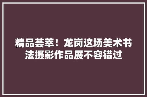 精品荟萃！龙岗这场美术书法摄影作品展不容错过
