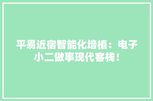 平易近宿智能化培植：电子小二做事现代客栈！