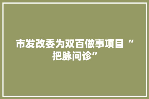 市发改委为双百做事项目“把脉问诊”