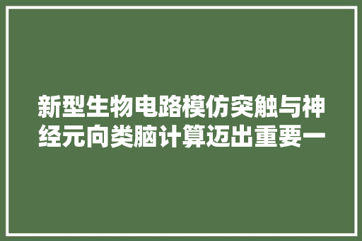 新型生物电路模仿突触与神经元向类脑计算迈出重要一步