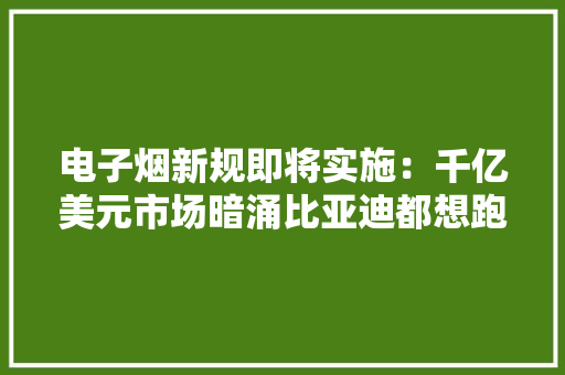 电子烟新规即将实施：千亿美元市场暗涌比亚迪都想跑来分一杯羹