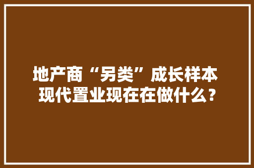 地产商“另类”成长样本 现代置业现在在做什么？
