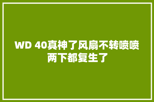 WD 40真神了风扇不转喷喷两下都复生了