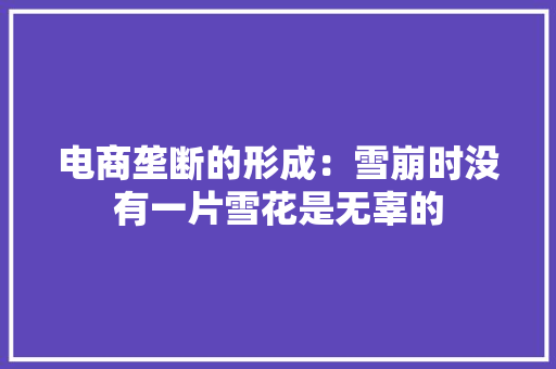 电商垄断的形成：雪崩时没有一片雪花是无辜的