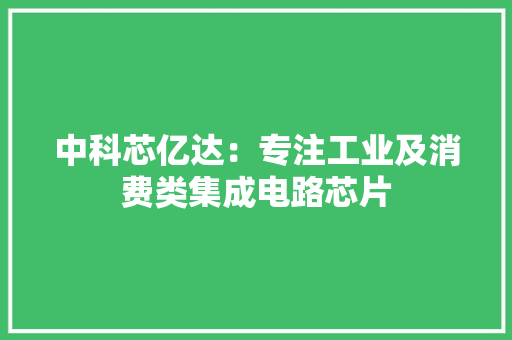 中科芯亿达：专注工业及消费类集成电路芯片 中科芯亿达：专注工业及消费类集成电路芯片 智能科技