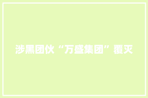涉黑团伙“万盛集团”覆灭