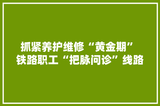 抓紧养护维修“黄金期” 铁路职工“把脉问诊”线路设备 抓紧养护维修“黄金期” 铁路职工“把脉问诊”线路设备 人工智能