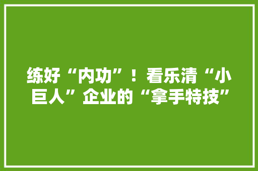 练好“内功”！看乐清“小巨人”企业的“拿手特技” 练好“内功”！看乐清“小巨人”企业的“拿手特技” 智能科技