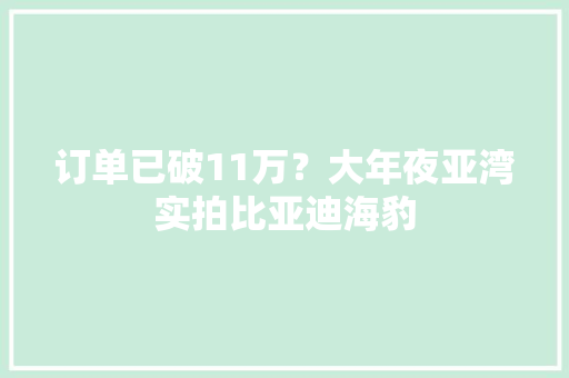 订单已破11万？大年夜亚湾实拍比亚迪海豹 订单已破11万？大年夜亚湾实拍比亚迪海豹 人工智能