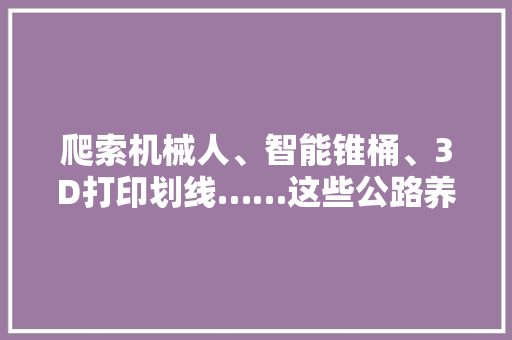 爬索机械人、智能锥桶、3D打印划线……这些公路养护神器亮相武汉