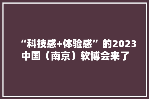 “科技感+体验感”的2023中国（南京）软博会来了