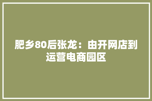 肥乡80后张龙：由开网店到运营电商园区