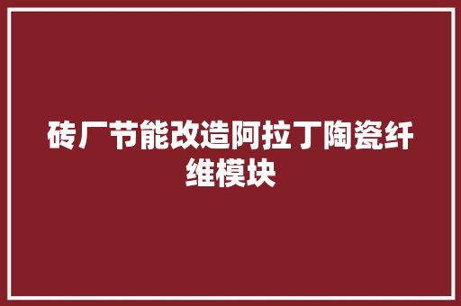 砖厂节能改造阿拉丁陶瓷纤维模块