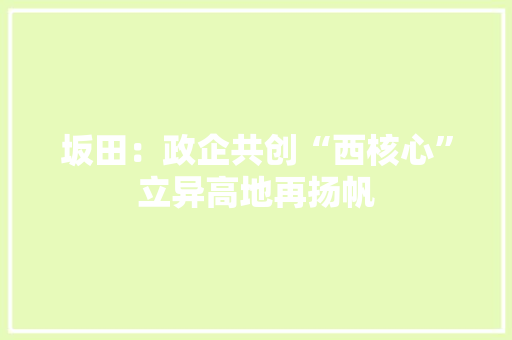 坂田：政企共创“西核心”立异高地再扬帆