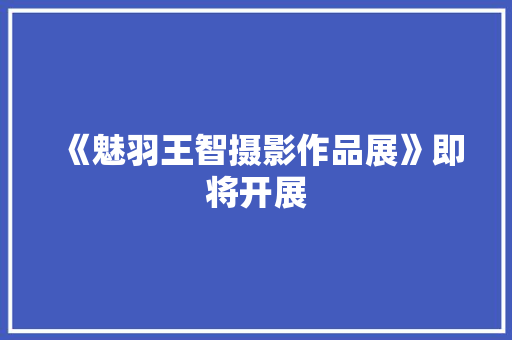 《魅羽王智摄影作品展》即将开展