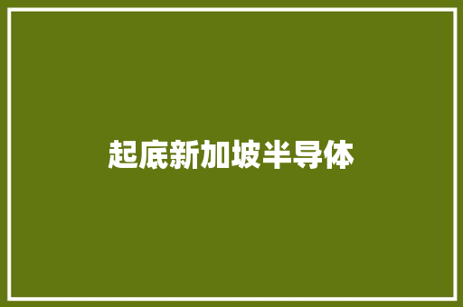 起底新加坡半导体