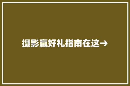 摄影赢好礼指南在这→
