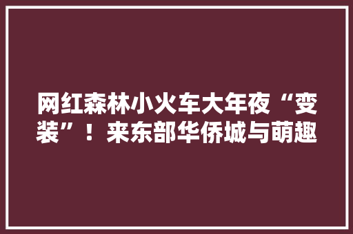 网红森林小火车大年夜“变装”！来东部华侨城与萌趣鹦鹉同游山海