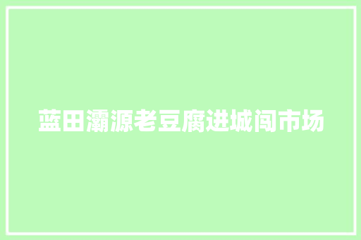 蓝田灞源老豆腐进城闯市场