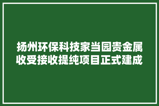 扬州环保科技家当园贵金属收受接收提纯项目正式建成投产