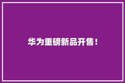 华为重磅新品开售！