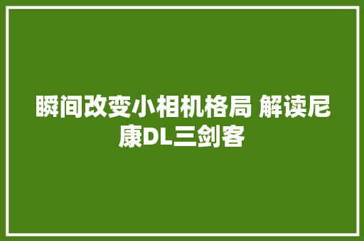 瞬间改变小相机格局 解读尼康DL三剑客