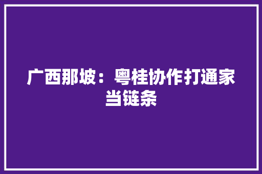 广西那坡：粤桂协作打通家当链条