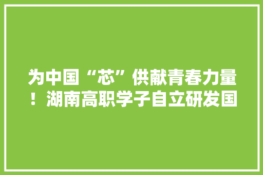 为中国“芯”供献青春力量！湖南高职学子自立研发国产芯片散热材料 为中国“芯”供献青春力量！湖南高职学子自立研发国产芯片散热材料 智能家居