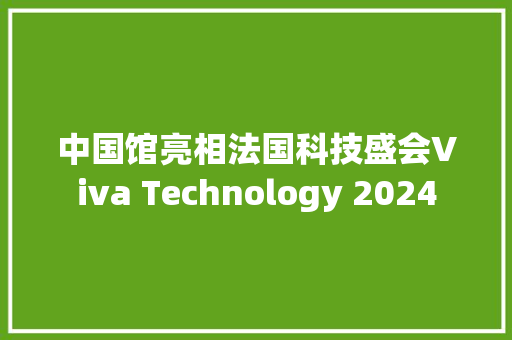 中国馆亮相法国科技盛会Viva Technology 2024 中国馆亮相法国科技盛会Viva Technology 2024 智能家居