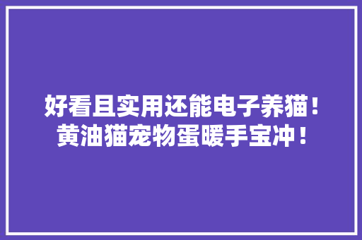好看且实用还能电子养猫！黄油猫宠物蛋暖手宝冲！ 好看且实用还能电子养猫！黄油猫宠物蛋暖手宝冲！ 智能科技