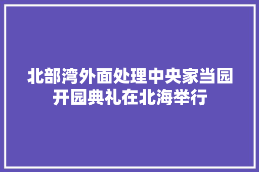 北部湾外面处理中央家当园开园典礼在北海举行 北部湾外面处理中央家当园开园典礼在北海举行 智能家居
