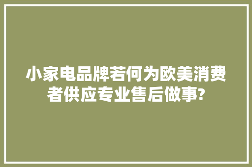 小家电品牌若何为欧美消费者供应专业售后做事?