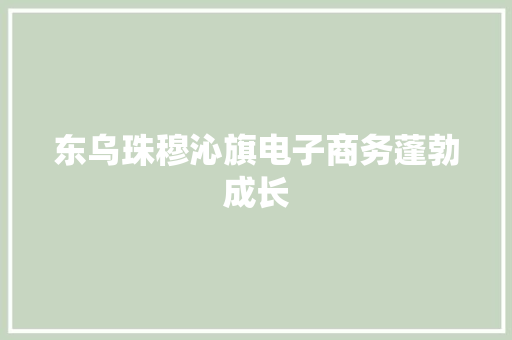 东乌珠穆沁旗电子商务蓬勃成长
