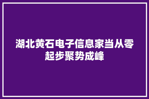 湖北黄石电子信息家当从零起步聚势成峰