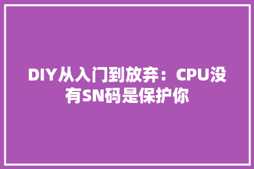 DIY从入门到放弃：CPU没有SN码是保护你