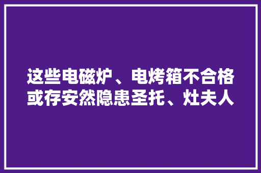 这些电磁炉、电烤箱不合格或存安然隐患圣托、灶夫人上黑榜 这些电磁炉、电烤箱不合格或存安然隐患圣托、灶夫人上黑榜 智能家居