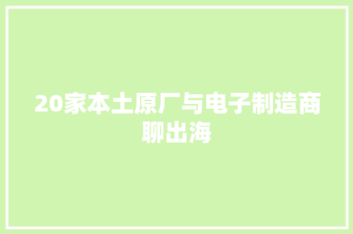 20家本土原厂与电子制造商聊出海 20家本土原厂与电子制造商聊出海 智能科技