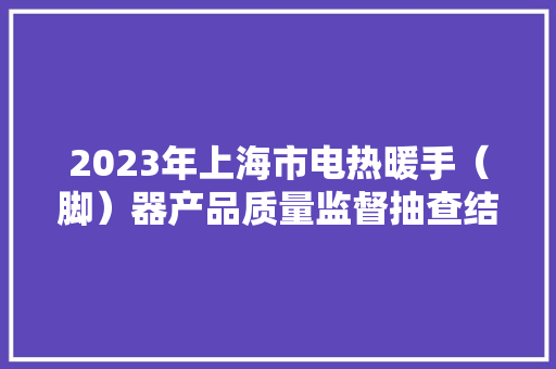 2023年上海市电热暖手（脚）器产品质量监督抽查结果