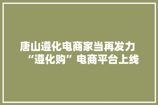 唐山遵化电商家当再发力 “遵化购”电商平台上线 唐山遵化电商家当再发力 “遵化购”电商平台上线 互联通信