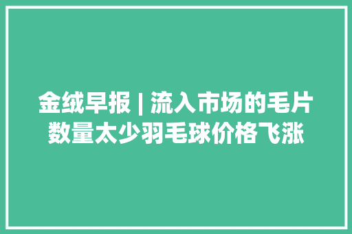 金绒早报 | 流入市场的毛片数量太少羽毛球价格飞涨