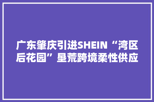 广东肇庆引进SHEIN“湾区后花园”垦荒跨境柔性供应链
