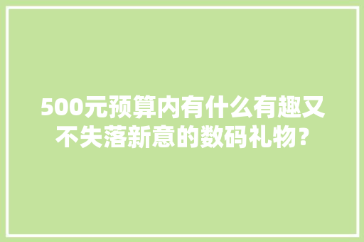 500元预算内有什么有趣又不失落新意的数码礼物？