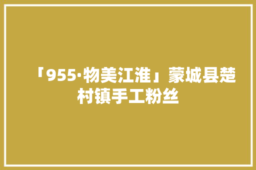 「955·物美江淮」蒙城县楚村镇手工粉丝