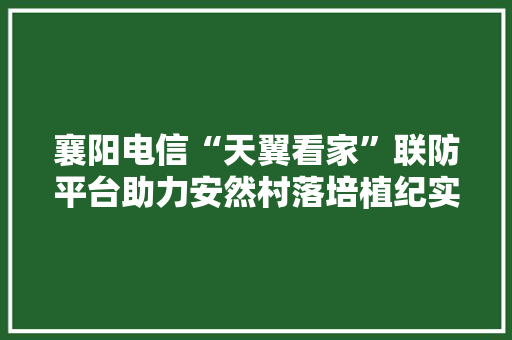 襄阳电信“天翼看家”联防平台助力安然村落培植纪实