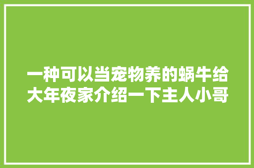 一种可以当宠物养的蜗牛给大年夜家介绍一下主人小哥哥