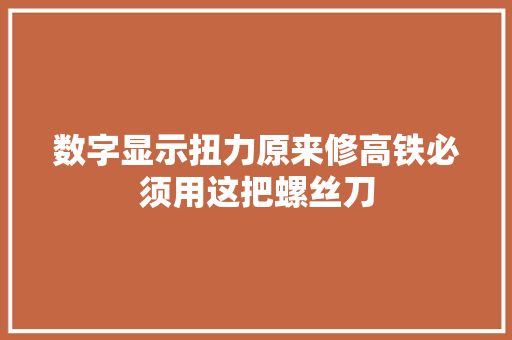 数字显示扭力原来修高铁必须用这把螺丝刀