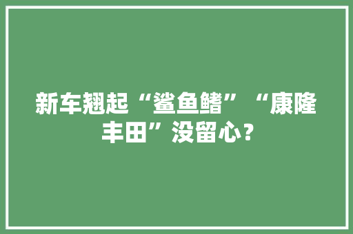 新车翘起“鲨鱼鳍”“康隆丰田”没留心？