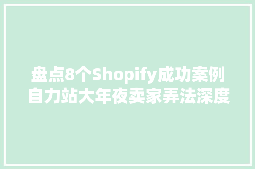 盘点8个Shopify成功案例自力站大年夜卖家弄法深度揭秘