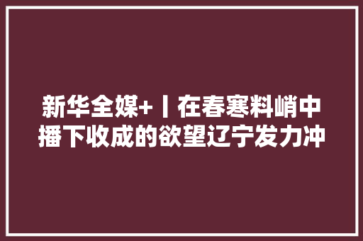 新华全媒+丨在春寒料峭中播下收成的欲望辽宁发力冲刺经济“开门红”