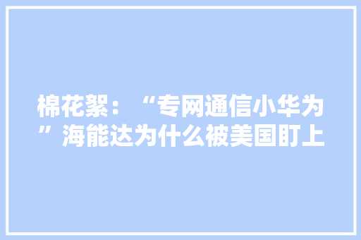 棉花絮：“专网通信小华为”海能达为什么被美国盯上？